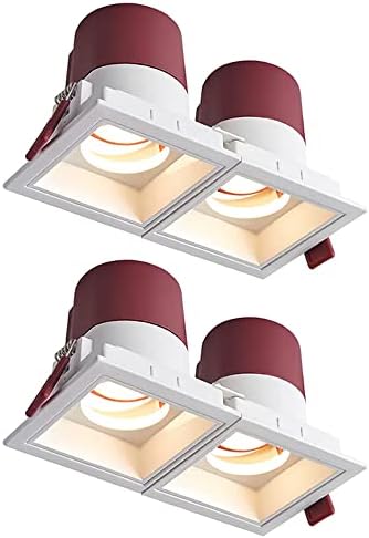 SDUYTDG Правоъгълен Промяна регулируема лампа с 2 глави, Бесканальный led лампа с Мощност 10 W/20 W/30 W, - Вградени в очната