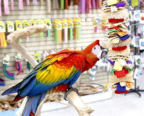 Измельчаемая играчка Parrot Wizard от гъба (изберете размер) (Голяма)