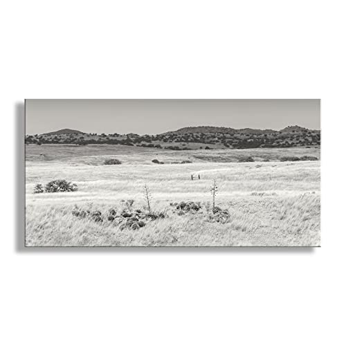 Ландшафта снимка прерията Аризонского ранчо Кънтри