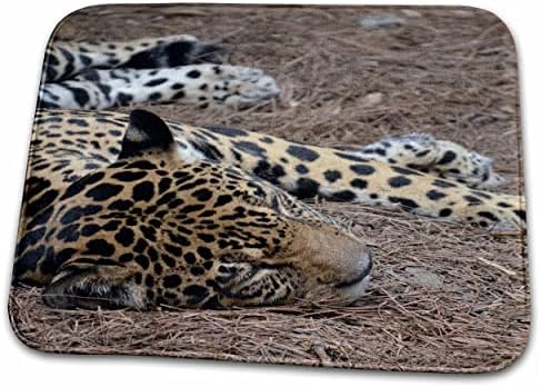 3dRose главата ягуар и лапи сън на котката - Подложки за сушене на чинии (ddm-294149-1)