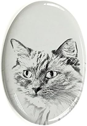 Арт Дог Оод. Рэгдолл, Овално Надгробен камък от Керамични плочки с изображение на котка