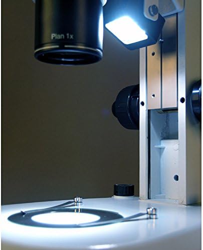 Бинокъла на Стереоскопични увеличение на микроскопа AmScope PM240B с общите основни обектив, Окуляры WH10x, Увеличение 8X-80X,