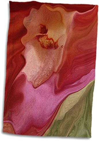 3dRose Florene Abstract - Меки Абстрактни кърпи с цветен модел (twl-7280-1)