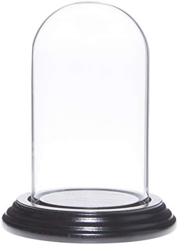 Малка стъклена витрина Plymor 2,5 x 4,5 дамска шапка клош Dome дамска шапка клош (основа от фурнир от абанос)