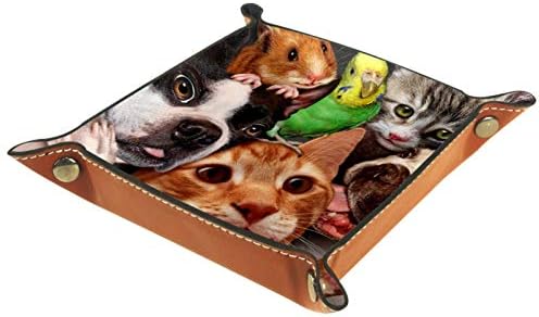 Летящите Кучета, Котки Вълнисто Папагал Плъх Органайзер Тава Кутия За Съхранение на Нощни Caddy Тенис на Тава Чантата си за смяна на