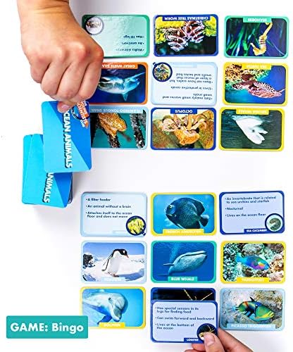Игри с карти Млад Учен с океанскими животни, 4 игри в 1, Подбор, бинго, На паметта, на малките неща, Практически Образователни