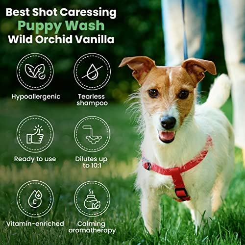 Препарат за почистване на малки кученца Best Shot Scentament Spa, Ванилия Дивата Орхидея, 16 унции