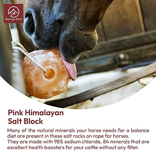 Glowyn Himalayan Salt Lick-Блок естествени минерали на въже - 4,0 кг (6 опаковки) - Отличен за коне, едър рогат добитък и