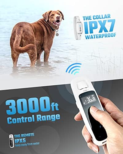 ABBIDOT Dog Shock Collar - 3000 фута Тренировъчен нашийник за кучета с дистанционно управление за малки, Средни и големи кучета с тегло