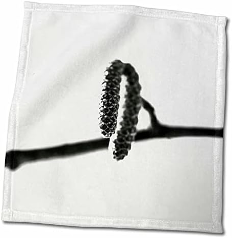 3 през Зимата, трошене обеци лешник. Черно-бяла минималистичная състав - Кърпи (twl-281192-3)