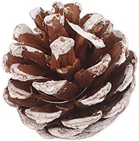 YIISU HUH159 Коледна Pineta Естествен Цвят Натурална Висулка във формата На Коледно Аксесоари 6шт