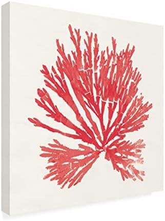 Търговска марка на Fine Art 'Pacific Sea Mosses II Red' Платно-арт от Wild Apple Portfolio 24x24