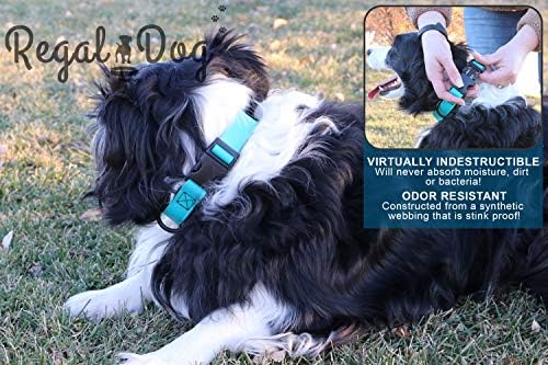 Regal Dog Products Обичай Малко Синьо небе водоустойчив нашийник с висока якост на ключалката и регулируем пръстен за тежки условия на работа,
