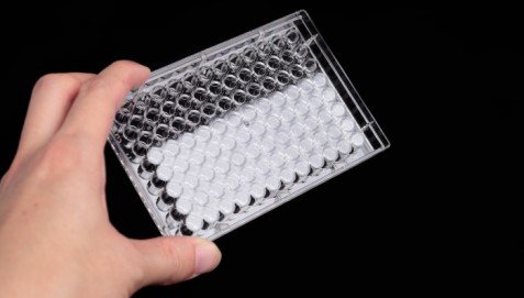 Прозрачен полистироловый Стерилна 384-луночный таблетка за култивиране на клетки (опаковка от 10 броя)