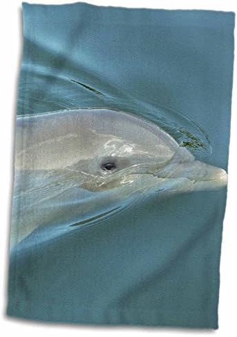 Подводни животни 3dRose Florene - морска крава Близък план - Кърпи (twl-41604-1)