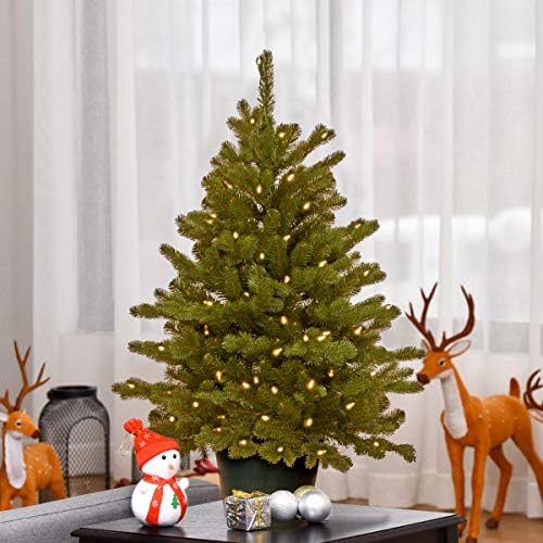Изкуствена Коледна елха Tree National Company Real Feel За въвеждане на групи| Включва Бели тела и Поставка | Хэмптонская смърч - 3 метра
