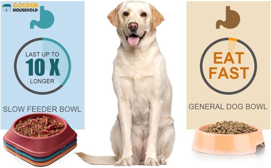 Златна домакински купа за бавно хранене на домашни любимци - Забавната интерактивна купа за бавно хранене на малки кученца среден