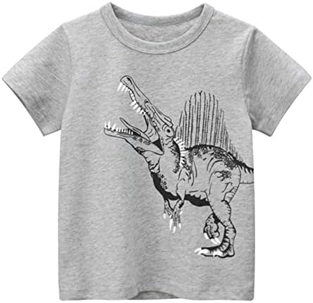 Тениска за Момчета за Деца, Тениски с Динозавром за малки Момчета И Момичета, Тениски с кръгло деколте и Къси ръкави, Блузи,