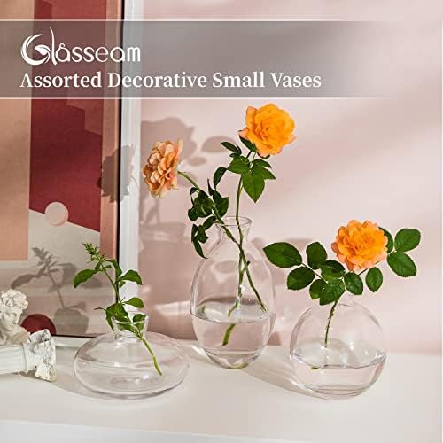 Glasseam Прозрачна Стъклена Ваза за Цветята, 3 бр./компл. Модерни Декоративни Малки Мини-Ваза за цветя, Кратък Минималистичен
