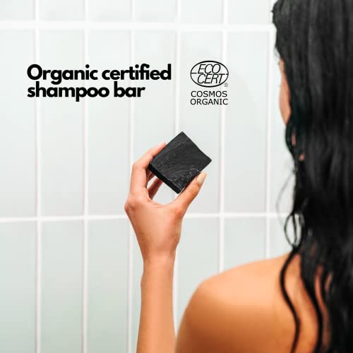 Soap Factory - Органични Твърди Шампоан срещу пърхот за мазна коса, Сапун за коса с Активен въглен за мъже и жени, Натурално,