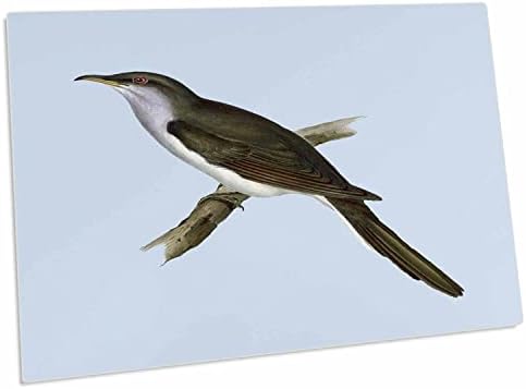 3. Животни Санди Мартенс - Американската птицата Кукувица - Настолни подложки (dpd-57543-1)