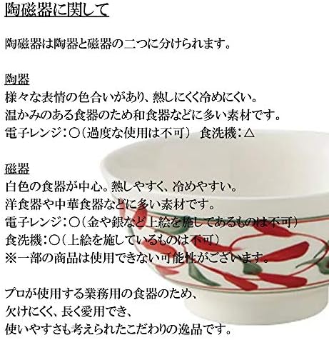 セトモノホンポ(Setomonohonpo) Тойоаки (на Прах) 8,5 Овална тенджера, 10,2 х 7,1 х 1,5 инча (25,8 х 18,1 х 3,7 см), Японски Съдове за готвене