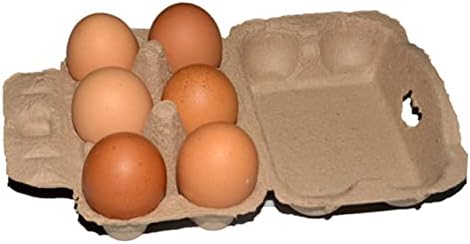 Контейнер за яйца YARNOW, 20 бр., скоростна, кутия за яйца, кутия за опаковане на целулоза яйца, тава за яйца