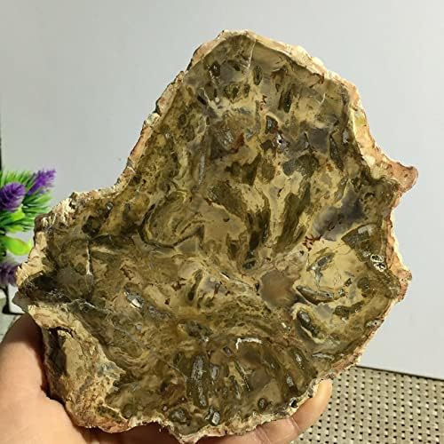 Красив полиран парче кристал от вкаменената дърво Мадагаскар 527 г A1