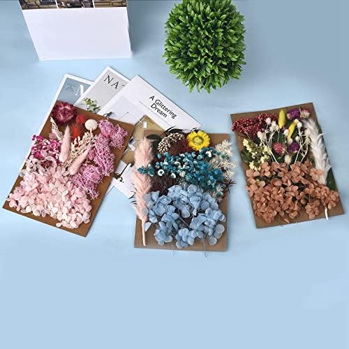 ДАЛАРАН 6 Опаковки Сухоцветов за Производство на Свещи САМ сухи цветя Няколко Пресовани Естествени цветове, Пъстри Декоративни сухи