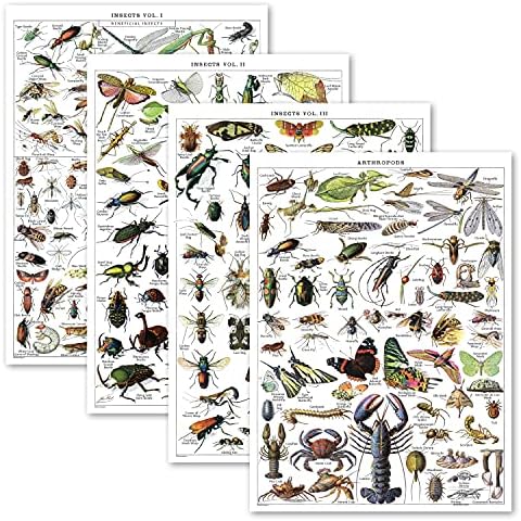 Palace Обучение 4 Pack - Реколта плакати с насекоми - Референтни таблици за идентификация по ентомология, Том 1, 2 и 3, и Ретро плакат