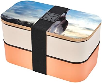 Кутия за bento за кучета Хъски с подобрени регулируема каишка, штабелируемый за многократна употреба запечатан контейнер за храна, не съдържа Bpa, модерен 2-те нива, под
