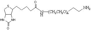 Биотин-PEG-NH2, 2k (100 мг)
