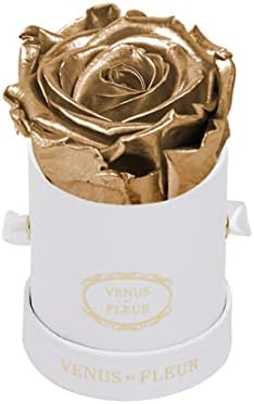 Venus et Le Fleur Mini Round Single - Запазена Оригинална роза в кутия - Тези рози, които продължават година - Бяла Подарък кутия, Златна роза