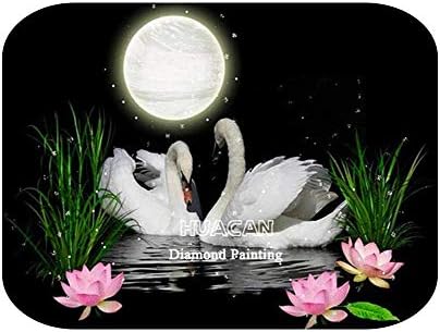Направи си САМ Диамантена Картина Лебед Украса за дома Мозайка нечовешки животински Farm Декорация за дома, Подарък ръчна изработка-AP1-5443-45x60cm