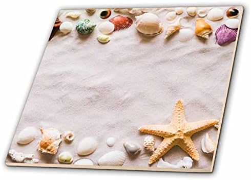 Триизмерен морски звезди и миди по пясъка - Пясъчен плаж, миди, Океанска плоча (ct-371794-7)