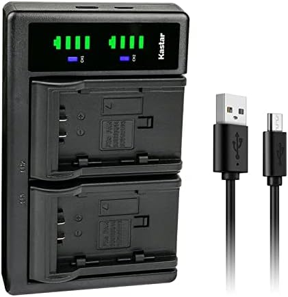 Зарядно устройство Kastar CGA-DU14 LTD2 USB, съвместимо с камери Panasonic PV-GS19, PV-GS29, PV-GS31, PV-GS33, PV-GS34, PV-GS35, PV-GS36, PV-GS39, PV-GS50, PV-GS55, PV-GS59, PV-GS65