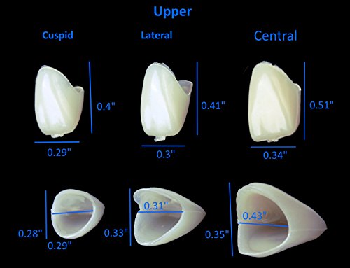 100 БР Разход на Определени Временни Коронки за зъбите Предната Предната и Задната част на Моларна по 50 броя