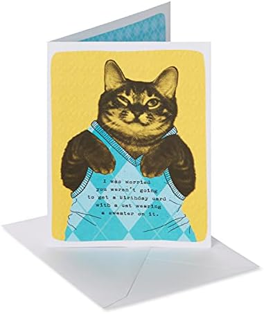 Американската поздравителна забавна картичка за рожден ден (котка в пуловер от Аргайла)