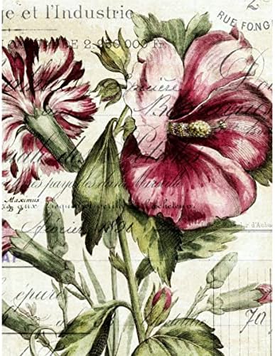 Оризова хартия с Черница на ботаническую тема 8 x 10.5 инча - 6 x Различни Печатни Изображения от Черница с видими влакна с дебелина