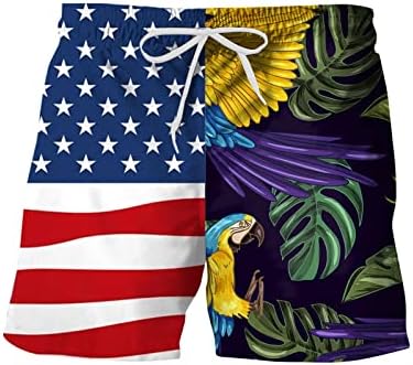 САЩ, 4 юли, Мъжки къси Панталони, Ежедневни Летни Дрехи за Разходка с Принтом Патриотични Американски Флаг на Експозиции,