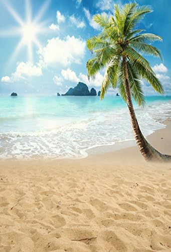 Тропически Плаж Фон за Снимки - Декори за студия, Сватби, партита, Фото, Бизнес употреба, Фон за Снимки 7x5ft Винил XT-6914