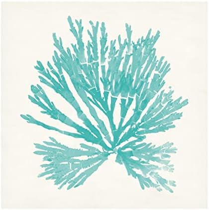 Търговска марка на Fine Art 'Pacific Sea Mosses II Аква' Платно-арт от Wild Apple Portfolio 14x14