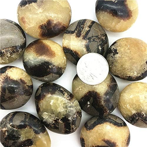 BINNANFANG AC216 1 бр. Натурален Септарий Септарианские Масажни камъни за дланите Проба Минерал Лечебни Камъни и кристали,