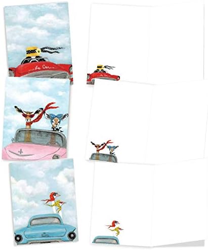 Най-добрата компания за производство на пощенски картички - 20 картички за всички поводи с плик (по 2 на всеки 10 дизайни) – Различни празни поздравителни картички - Driv